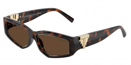 TF4234U Sunglasses