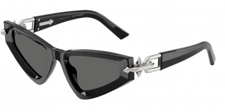 TF4245KU Sunglasses