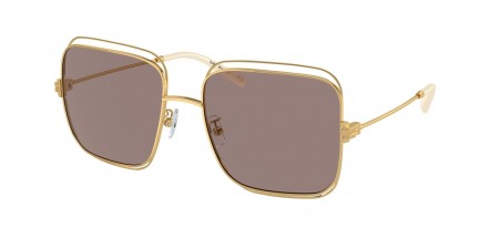 TY6107 Sunglasses