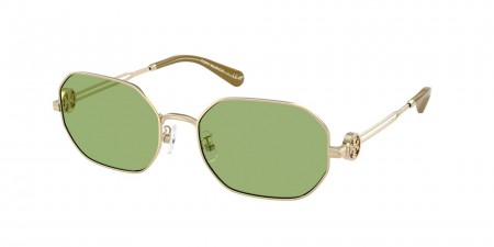 TY6113 Sunglasses