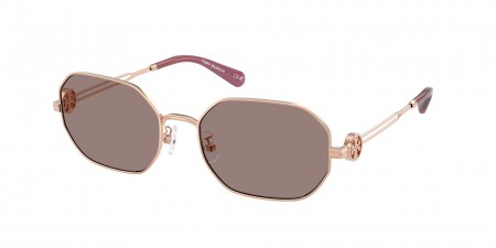TY6113 Sunglasses