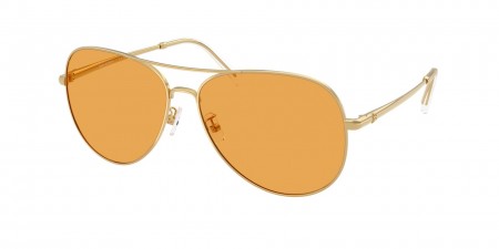 TY6114 Sunglasses