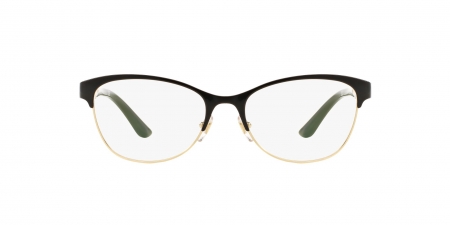 VE1233Q Eyeglasses