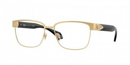 VE1306 Eyeglasses