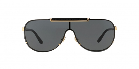 VE2140 Sunglasses
