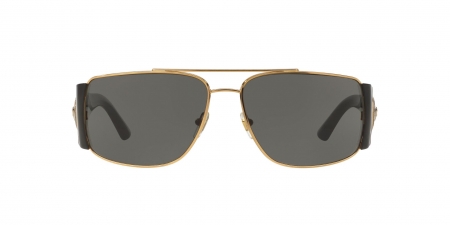 VE2163 Sunglasses