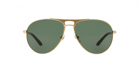 VE2164 Sunglasses