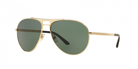 VE2164 Sunglasses