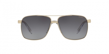 VE2174 Sunglasses