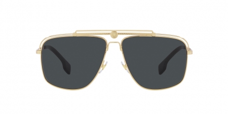 VE2242 Sunglasses