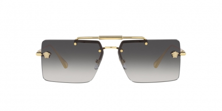 VE2245 Sunglasses