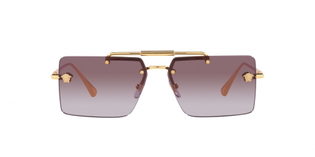 VE2245 Sunglasses