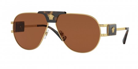 VE2252 Sunglasses