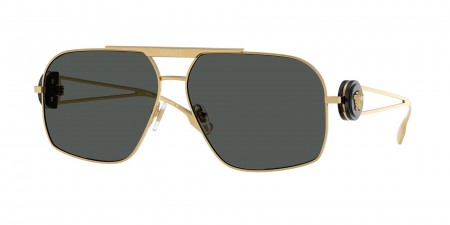 VE2269 Sunglasses