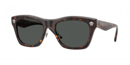 VE2272 Sunglasses