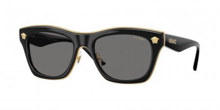 VE2272 Sunglasses