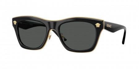 VE2272 Sunglasses