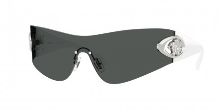 VE2280 Sunglasses