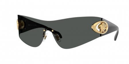 VE2280 Sunglasses