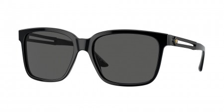 VE4307 Sunglasses