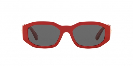 VE4361 Sunglasses