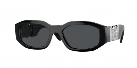 VE4361 Sunglasses