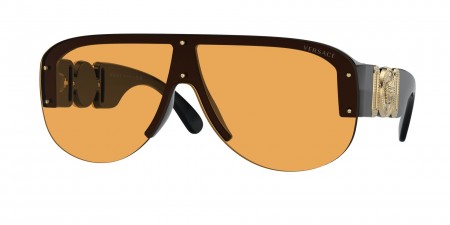VE4391 Sunglasses