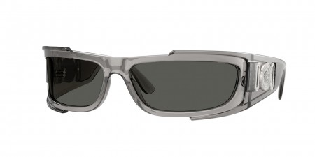 VE4446 Sunglasses