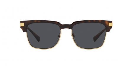 VE4447 Sunglasses
