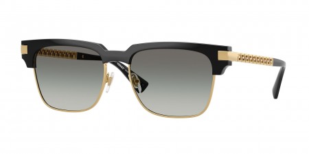 VE4447 Sunglasses