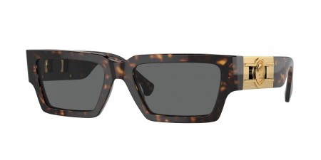 VE4459F Sunglasses