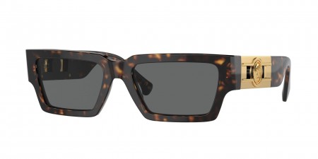 VE4459 Sunglasses