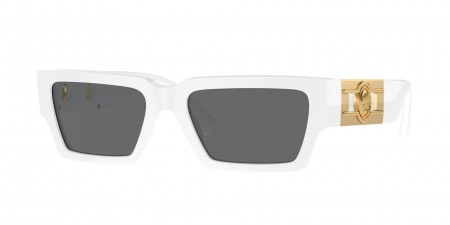 VE4459 Sunglasses
