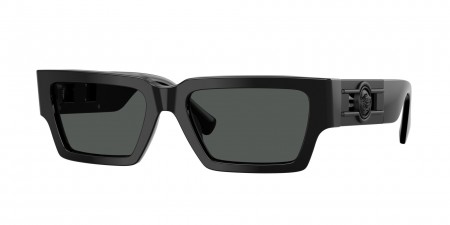 VE4459 Sunglasses