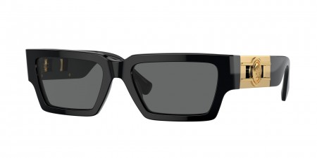 VE4459 Sunglasses
