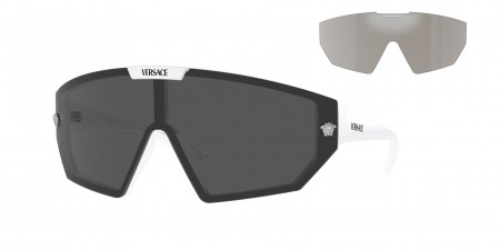 VE4461 Sunglasses