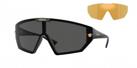 VE4461 Sunglasses