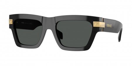 VE4464F Sunglasses