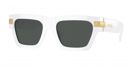 VE4464 Sunglasses