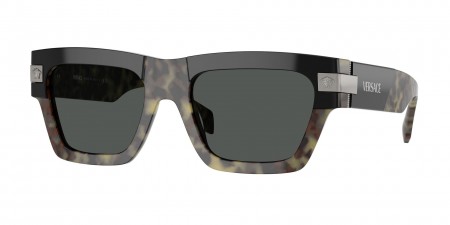 VE4464 Sunglasses