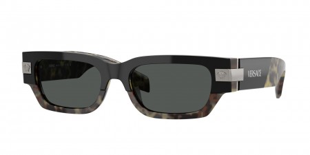 VE4465 Sunglasses