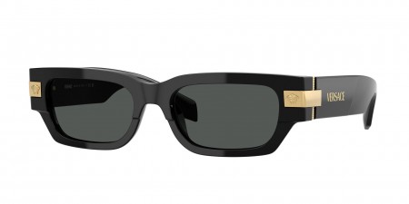 VE4465 Sunglasses