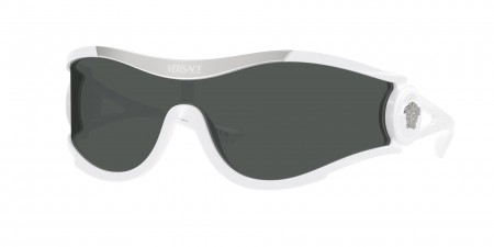 VE4475 Sunglasses