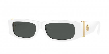 VE4476U Sunglasses