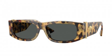 VE4476U Sunglasses