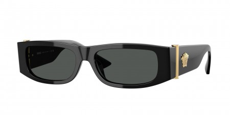 VE4476U Sunglasses