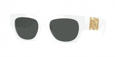 VE4479U Sunglasses