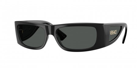 VE4482 Sunglasses