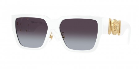 VE4483D Sunglasses
