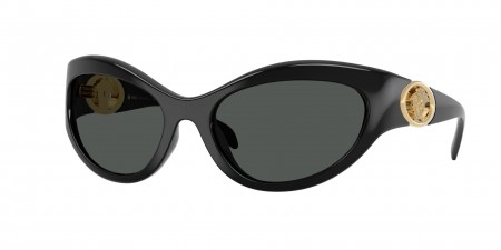 VE4485 Sunglasses